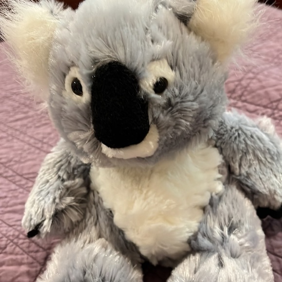 Webkinz Koala bear.  Sooo soft! - Picture 3 of 6